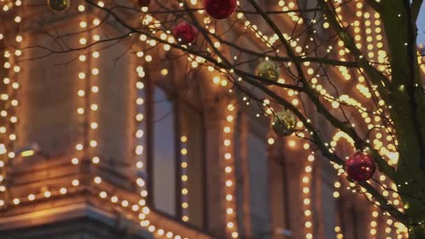 Panera de árbol desnudo decorado con bolas de navidad rojas y doradas — Vídeo de stock