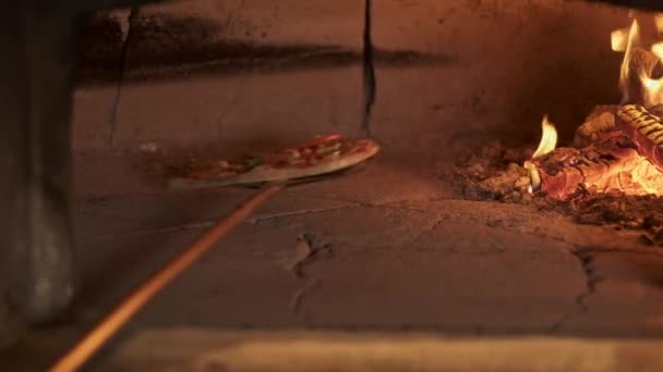 Средний выстрел шеф-повара, проверяющего готовность вегетарианской пиццы в духовке — стоковое видео