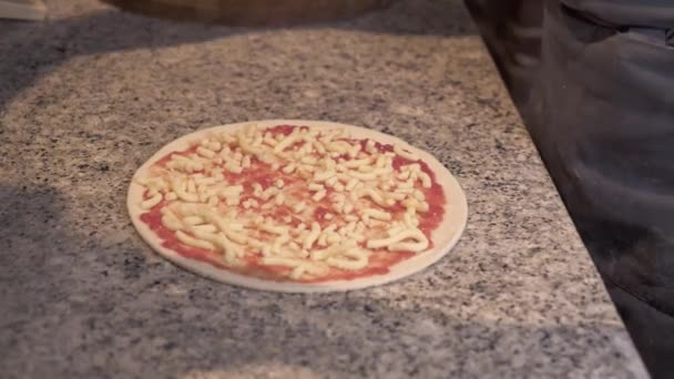 Szakács, pizza alap, paradicsomos mártással és sajttal összetevők hozzáadása — Stock videók