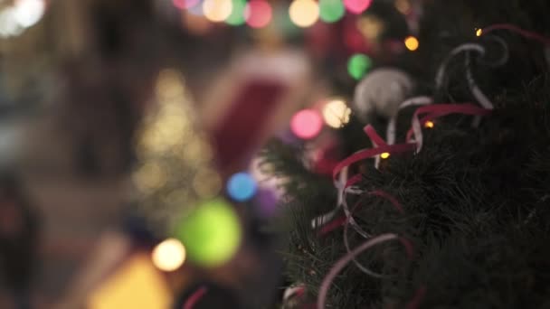 Abstract background of fir tree and lights and lamps of different color with bokeh effect — Stock Video