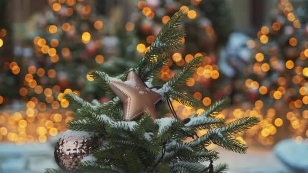 МОСКВА, РОССИЯ - 6 ДЕКАБРЯ: Бежевая пластиковая рождественская звезда на кастрюле из елки. Эффект Боке на фоне — стоковое видео