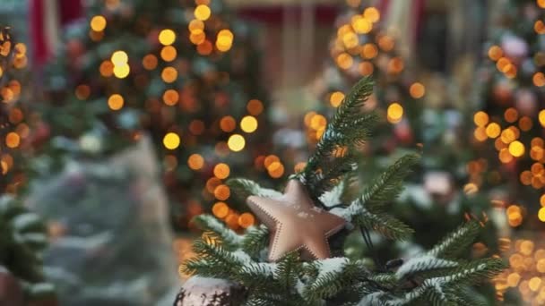 Moscow, Oroszország - December 6: Bézs műanyag karácsonyi csillag fenyő fa pán lövés. A háttérben a bokeh hatása — Stock videók