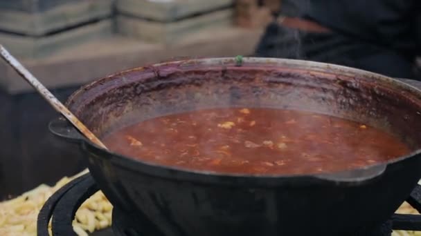 Vattenkokare med stekt kött kokande soppa tomatsås — Stockvideo