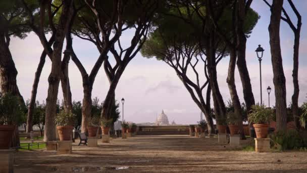 Arbres poussant dans l'allée près du Jardin Orange, Rome, Italie Giardino degli Aranci. Prise de vue en temps réel verrouillée — Video