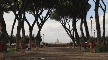 Orange Garden yakınlarındaki sokakta büyüyen ağaçlar, Roma, Italya Giardino Degli Aranci, rüzgarlı bahar günü. Gerçek zamanlı çekim kilitli