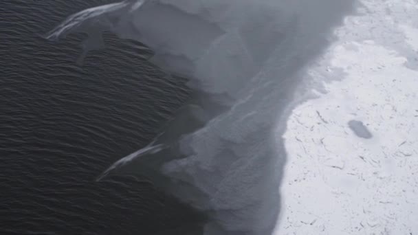 Luftschuss kippt von gefrorenem Fluss mit Eisschichten — Stockvideo