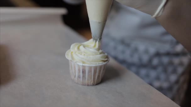 Decorating cup cake with cream and fresh blueberries and raspberry — Stock Video