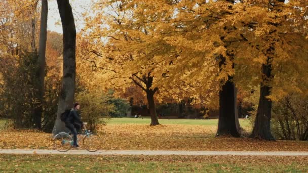 München, Németország, november 19, 2019: őszi kerékpározás séta az angol kertben Münchenben. Zárt legyőz valós idő szemcsésedik, München, Németország. — Stock videók