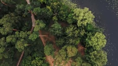 Yeşil ormandaki bir gölün üzerinde uçan drone'un havadan görünümü