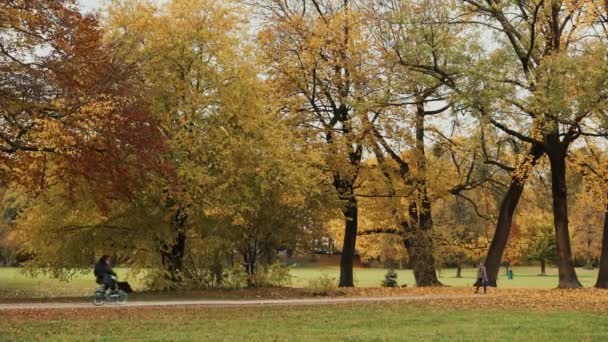 МЮНХЕН, ГЕРМАНИЯ, 19 ноября 2019 г.: Заблокирован в реальном времени широкий снимок людей, идущих в осеннем английском саду Мюнхена, Германия . — стоковое видео