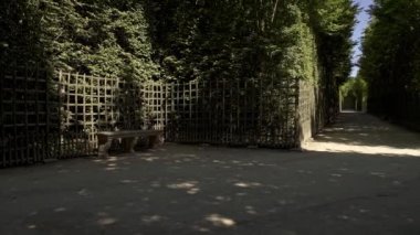 Versailles bahçelerinde boş bir bank ve ara sokakta çekilen çekim.