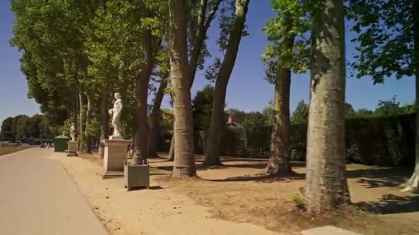 Low angle tracking dolly geschoten in Versailles tuinen steegje op zonnige dag in het voorjaar — Stockvideo