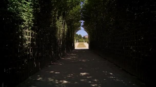 Tracking shot de entrada en los jardines de Versalles con estatuas — Vídeo de stock