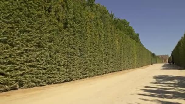 Low angle tracking schot in Versailles tuinen steegje op zonnige dag in het voorjaar — Stockvideo