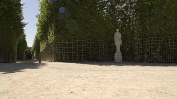 Långsam pan skott i trädgårdar Versailles med buskar och statyer runt — Stockvideo
