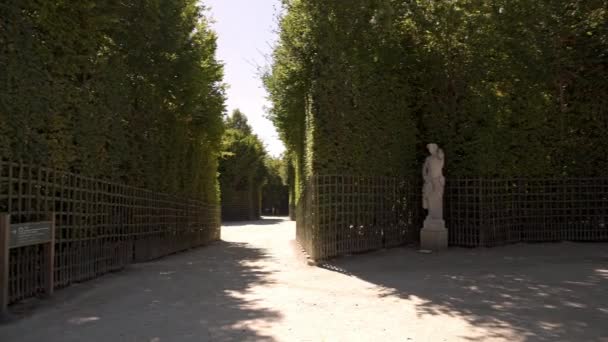 VERSAILLES, RANSKA - HUHTIKUU 2019: Pan shot in gardens of Versailles with bushes and statues around — kuvapankkivideo
