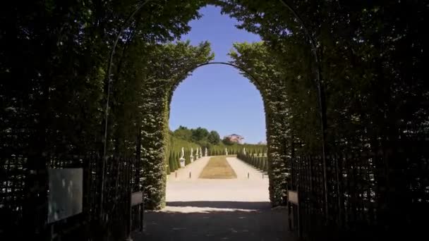 VERSAILLES, FRANCIA - ABRIL 2019: Tracking shot of entry into Versailles gardens with statues — Vídeos de Stock