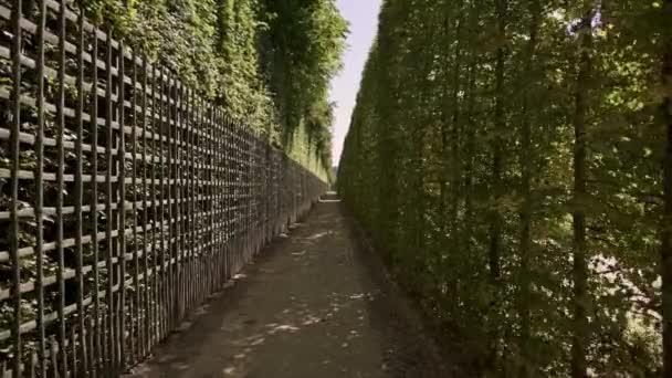 VERSAILLES, FRANCIA - ABRIL 2019: Tracking dolly shot in Versailles gardens alley at sunny day in spring — Vídeos de Stock