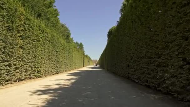Versailles, Frankrike - april 2019: Spårningsskott med låg vinkel i Versailles trädgårdsgränd på solig dag på våren — Stockvideo