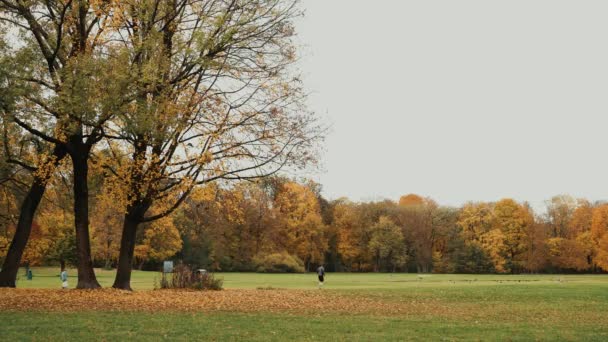 München, Németország, november 19, 2019: zárt legyőz valós idő széles szemcsésedik-ból emberek gyaloglás-ban őszi angol kert-ból München, Németország. — Stock videók