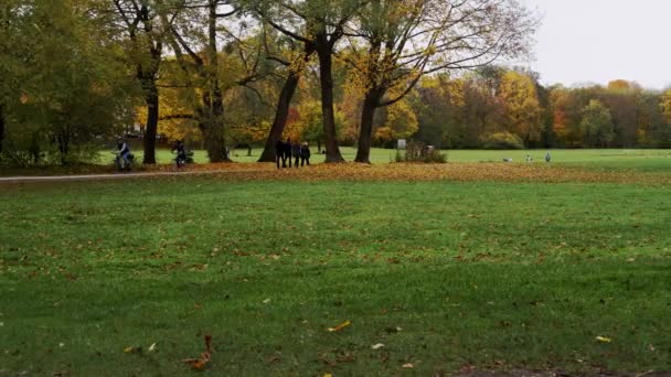 München, Németország, 2019. november 19.: Balról jobbra valós idejű felvétel azokról az emberekről, akik München, Németország őszi angol kertjében sétálnak. — Stock videók