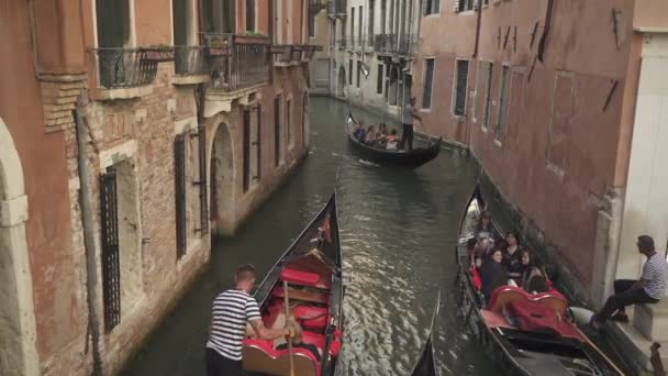 VENEZIA - 14 DE JULIO: Muchas góndolas navegan con turistas por el estrecho canal de Venecia, 14 de julio de 2019 en Venecia . — Vídeos de Stock