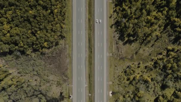 緑の木々に囲まれた複数の車線の道路は、高速道路の無人偵察機の上空を飛ぶ — ストック動画