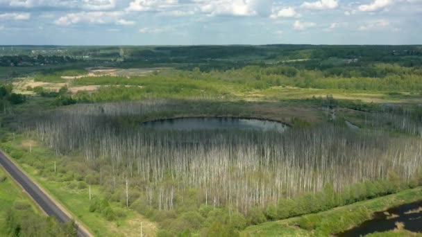 Drone flyga över toppar zooma in av björkar och sjö i Moskva — Stockvideo