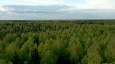 Bulutlu gökyüzünün altındaki yeşil Rus ormanı İHA 'dan çekiliyor.