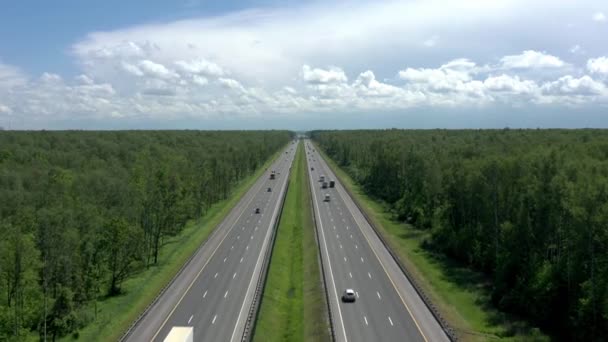 Routes à voies multiples entourées d'arbres verts, zoom arrière des bois verts sous un ciel gris nuageux — Video