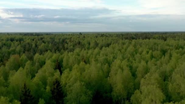 Groen Russisch bos onder bewolkte hemel beschoten door drone vliegend hoog — Stockvideo