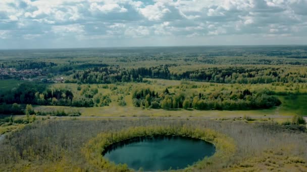 Drone volare sopra le cime zoom fuori di betulle e lago a Mosca — Video Stock