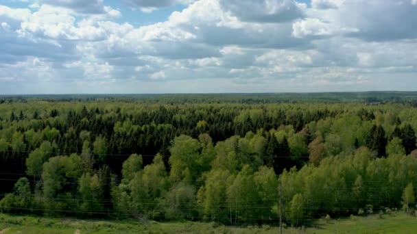 高い飛行ドローンから撮影された曇った空の下で緑のロシアの森 — ストック動画
