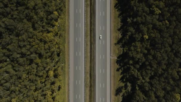 Drogi wielopasmowe otoczone zielonymi drzewami, przelatują nad dronem autostrady zdjęcia lotnicze — Wideo stockowe