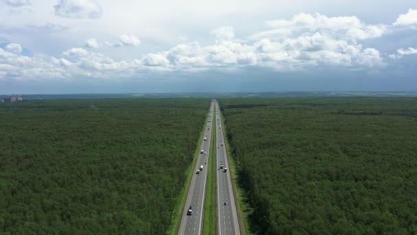 Camino que pasa a través del bosque bajo el cielo nublado en el tiempo de verano, tiro aéreo de drones — Vídeos de Stock