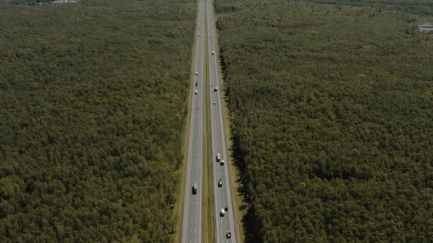 Estrada que passa pela floresta sob céu nublado na hora de verão, drone tiro aéreo — Vídeo de Stock