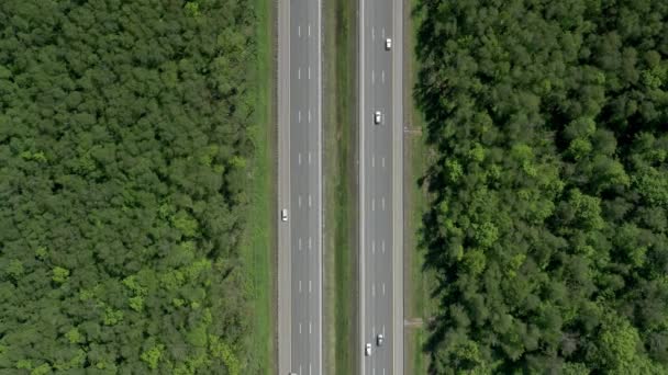 Flerfiliga vägar omgivna av gröna träd, i realtid av en motorväg drönare antenn skott — Stockvideo