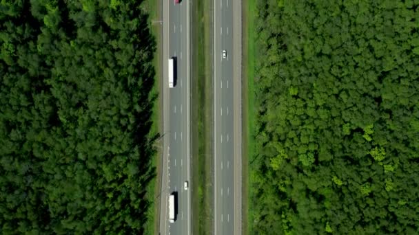 Flerfiliga vägar omgivna av gröna träd, flyga över en motorväg drönare antenn skott — Stockvideo