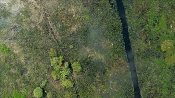 Drone voler en haut zoom sur les arbres et le ruisseau étroit — Video