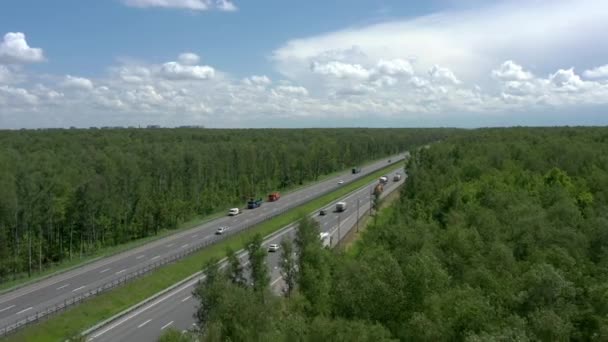 Routes à voies multiples entourées d'arbres verts, forêt sous un ciel gris nuageux — Video