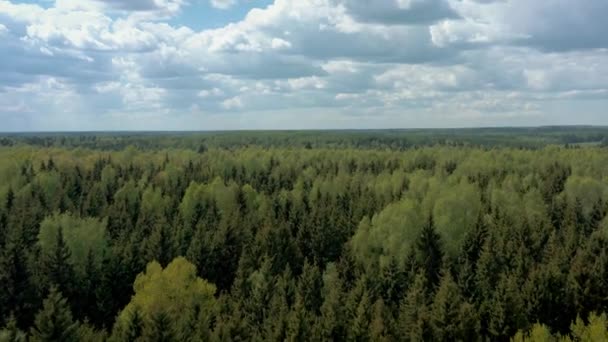 Zöld orosz erdő alatt felhős ég lövés drón magasan repülő — Stock videók