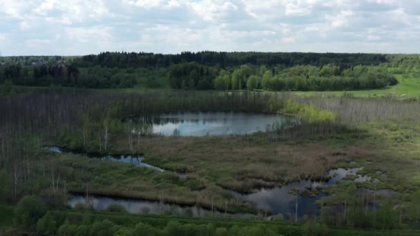 Dron przelatuje nad szczytami zoom drzew i jeziora w Moskwie — Wideo stockowe