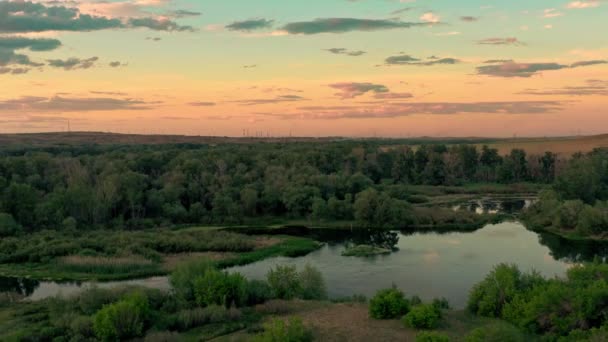 Campo russo verde e horizonte drone zoom aéreo para fora ao pôr do sol — Vídeo de Stock