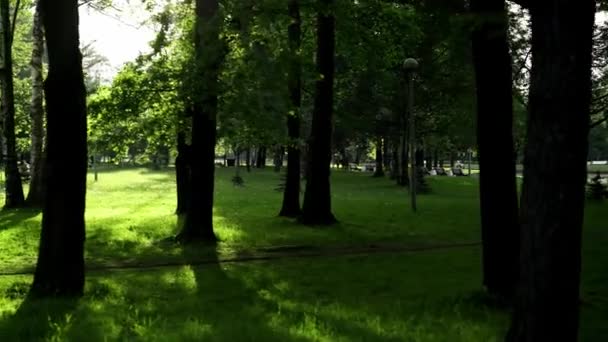 녹색 공원의 팬 샷 과지나가는 사람들 — 비디오