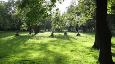 Yeşil park manzarası ve yoldan geçen insanlar.