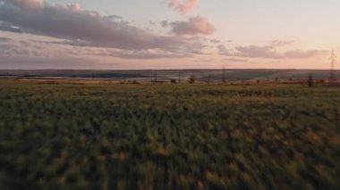 İnsansız hava aracı büyük alanı yakınlaştırdı, iletim kulesi pembe gökyüzünün altında