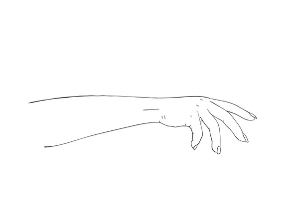 Elegante brazo de mujer. El procedimiento de salón de la manicura. Ilustración para cosméticos para manos - crema o loción . — Vector de stock