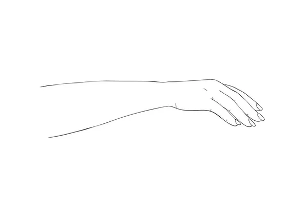 Σαλόνι διαδικασία του μανικιούρ. Κομψό χέρι μιας γυναίκας. Ilustration για καλλυντικά για χέρια - κρέμα ή λοσιόν. — Διανυσματικό Αρχείο