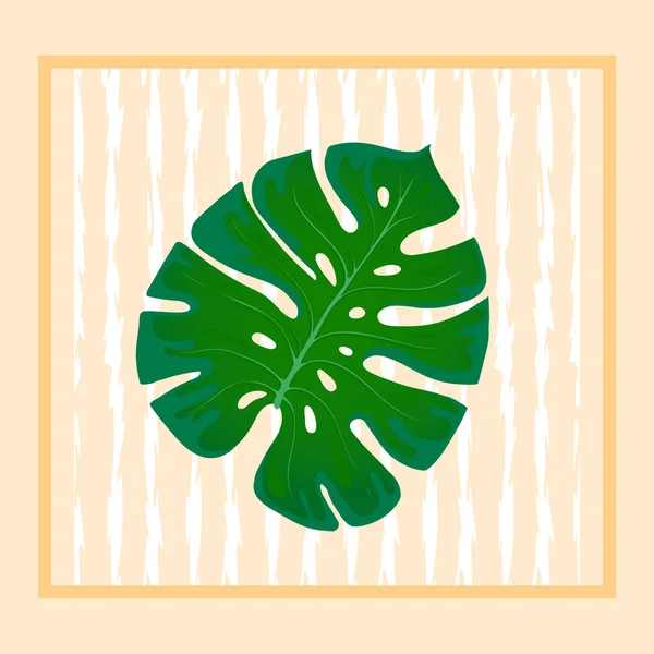 葉のモンステラ。抽象的な背景のヤシの葉の設計のトレンド要素。熱帯のエキゾチックな家の植物 — ストックベクタ