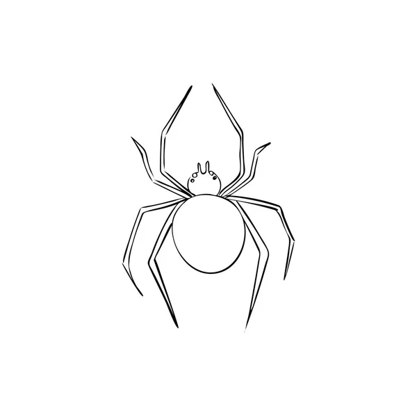 Spider Adalah Simbol Fobia Dan Kengerian Desain Untuk Halloween Terisolasi - Stok Vektor